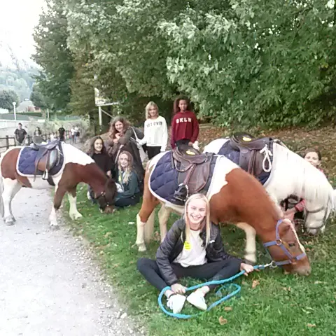 Centre équestre de Thônes
