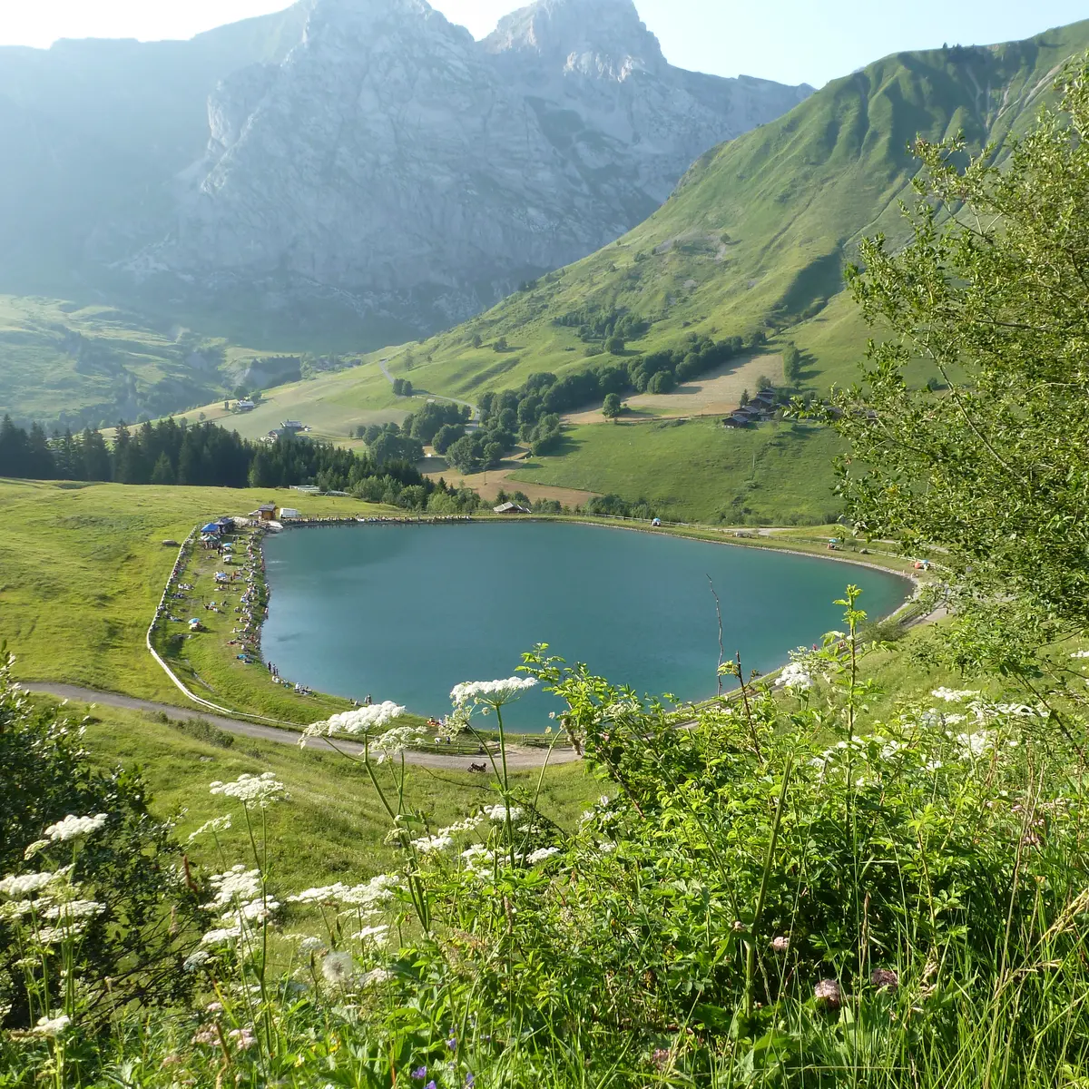 Lac de la cour