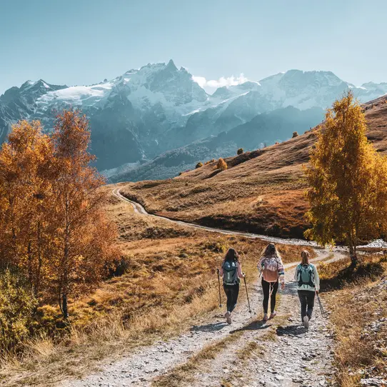 Serre Bernard par la Berche - Rando La Grave
