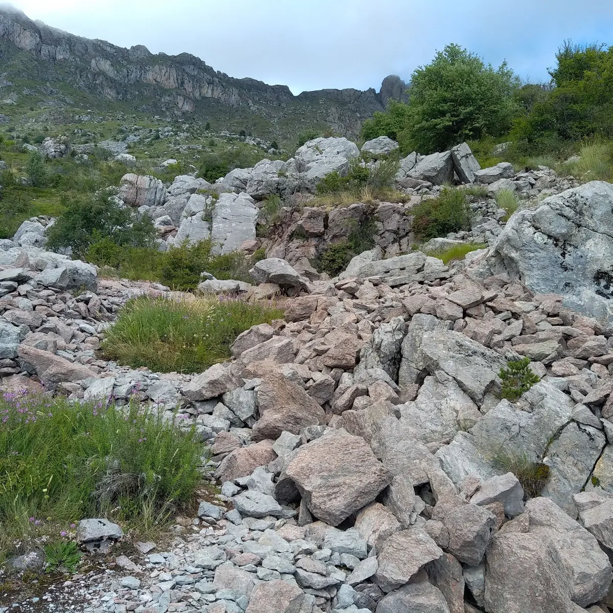 Carrière de Salados