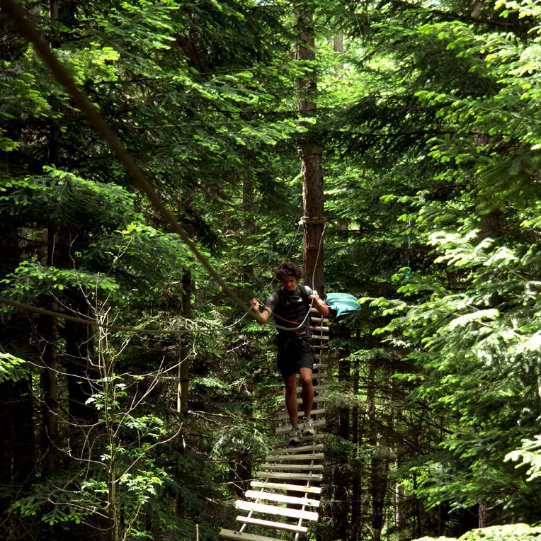 Jungle Laye, une aventure acrobatique en forêt à Laye, vallée du Champsaur