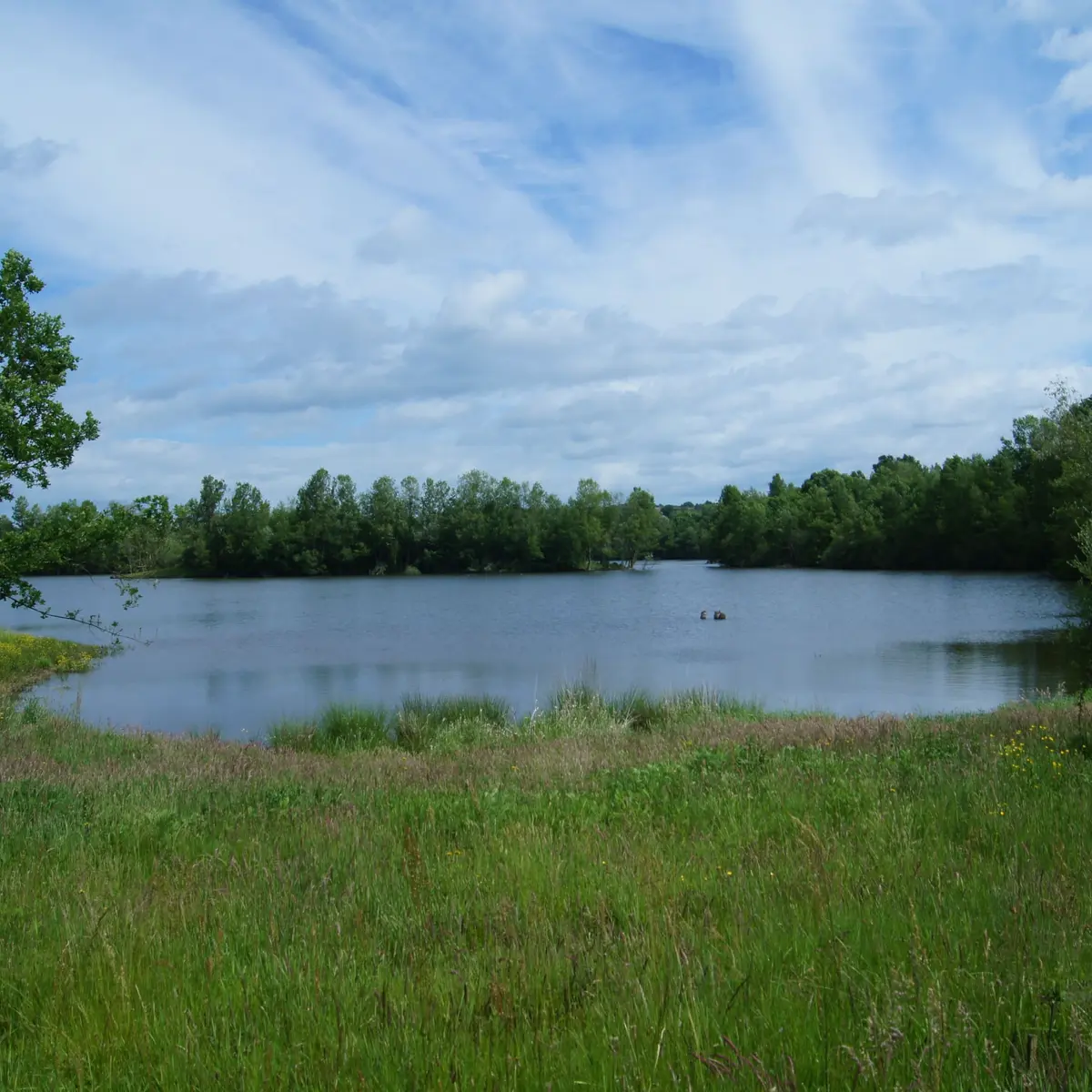 Réserve naturelle La Vauvre