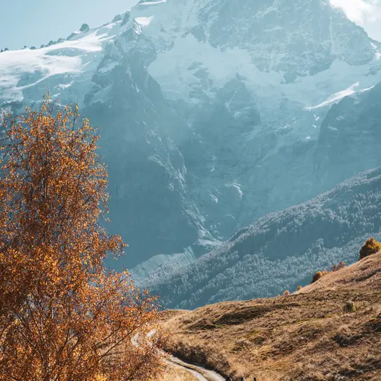 Serre Bernard par la Berche - Rando La Grave