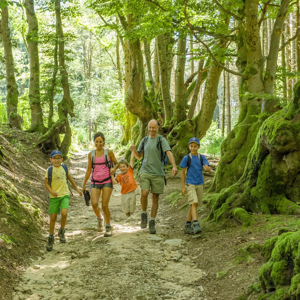 L'allée des géants à Saint-Nicolas-des-Biefs