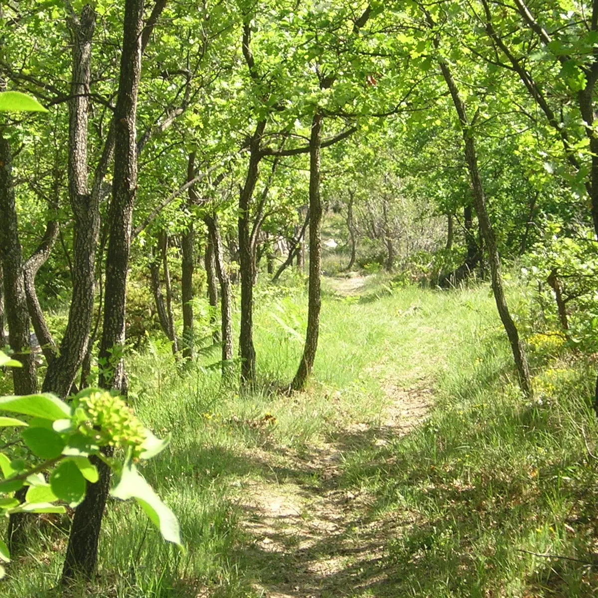 Vallon de l'eau salée