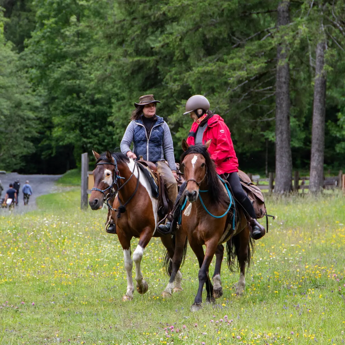 balade et randonnée à cheval