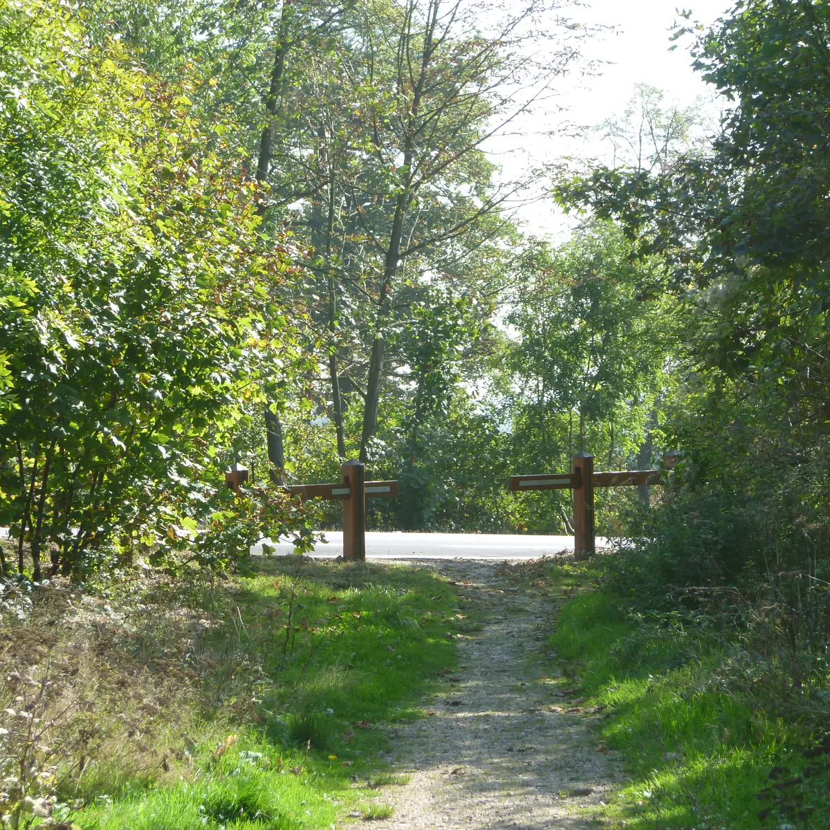 itinéraire de randonnée à pied en forêt de Marly