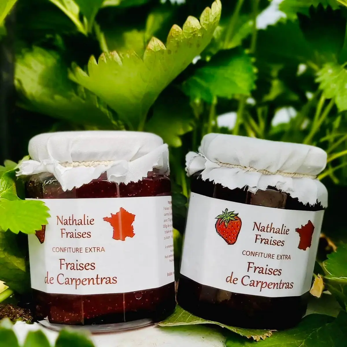 Nathalie Fraise_Monteux