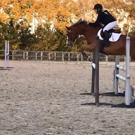 Saut de cheval