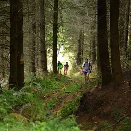 Trail à Saint-Nicolas-des-Biefs