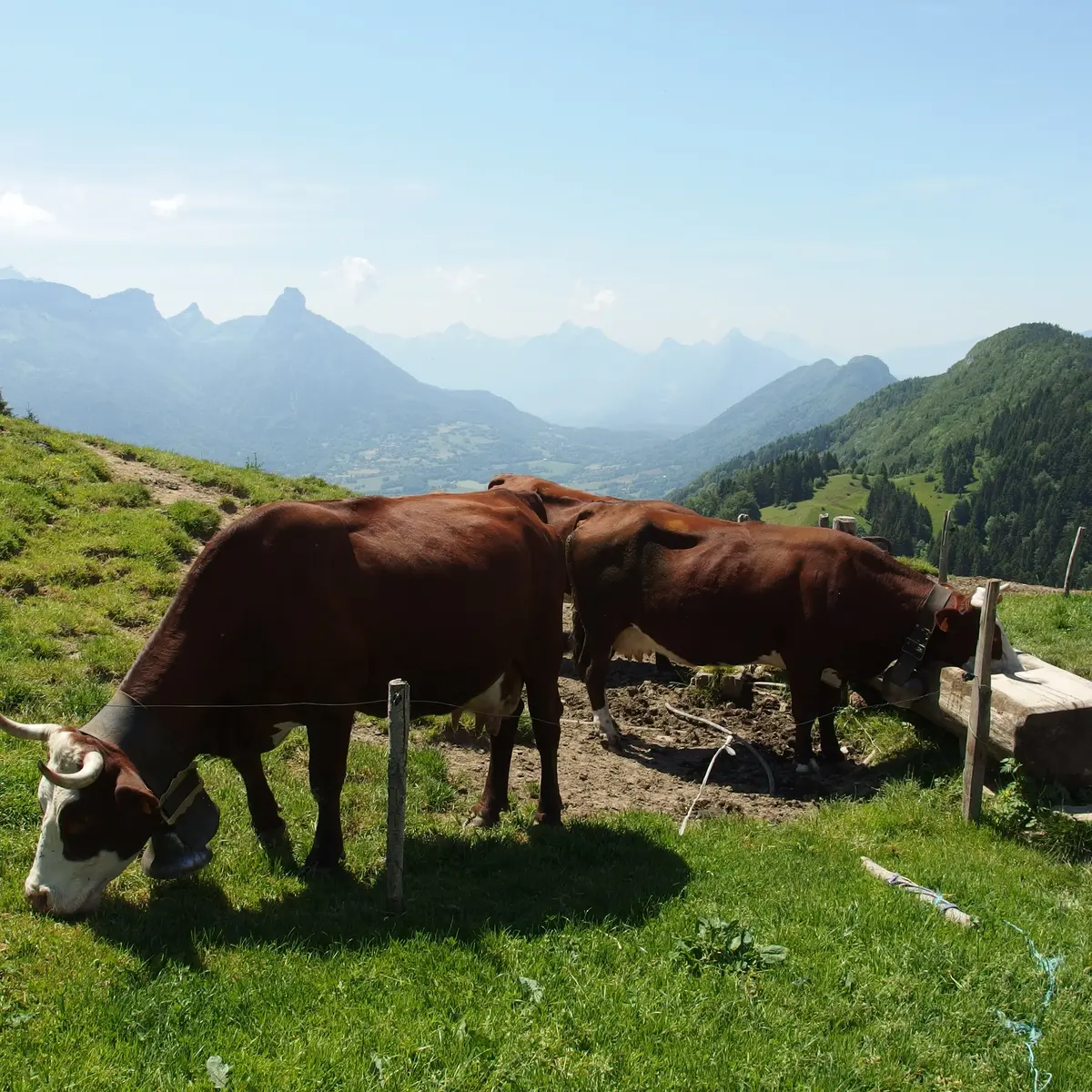 Alpage Chalet Chappuis - Photo sous licence Creative Commons https://creativecommons.org/licenses/by/2.0/