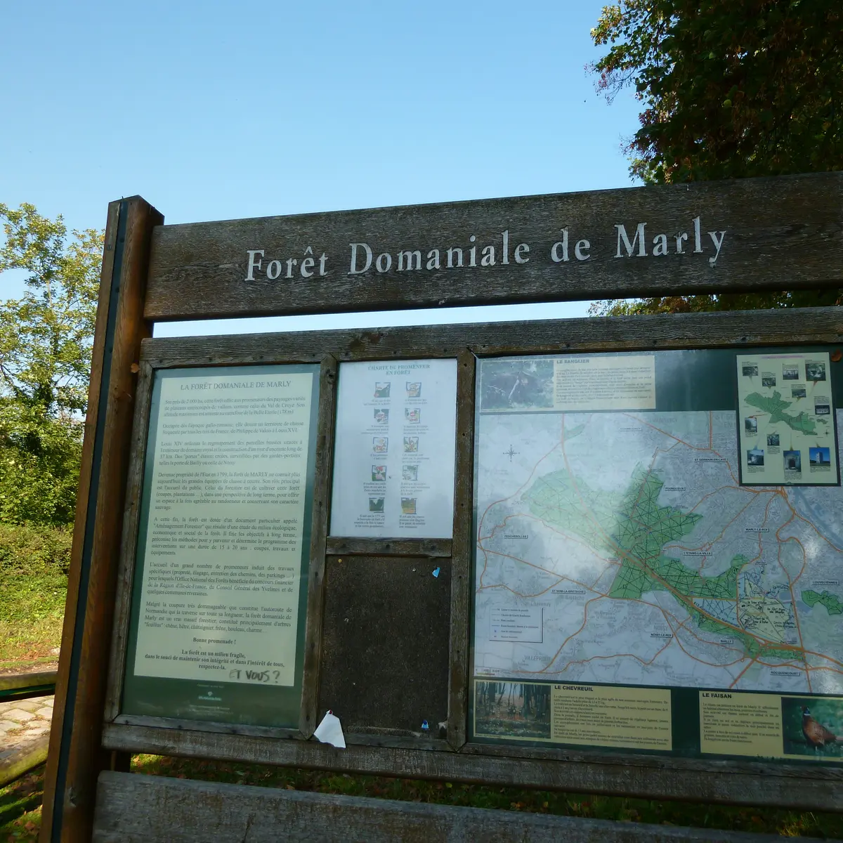 itinéraire de randonnée à pied en forêt de Marly