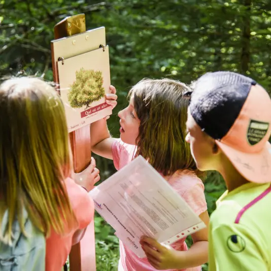 escape game nature