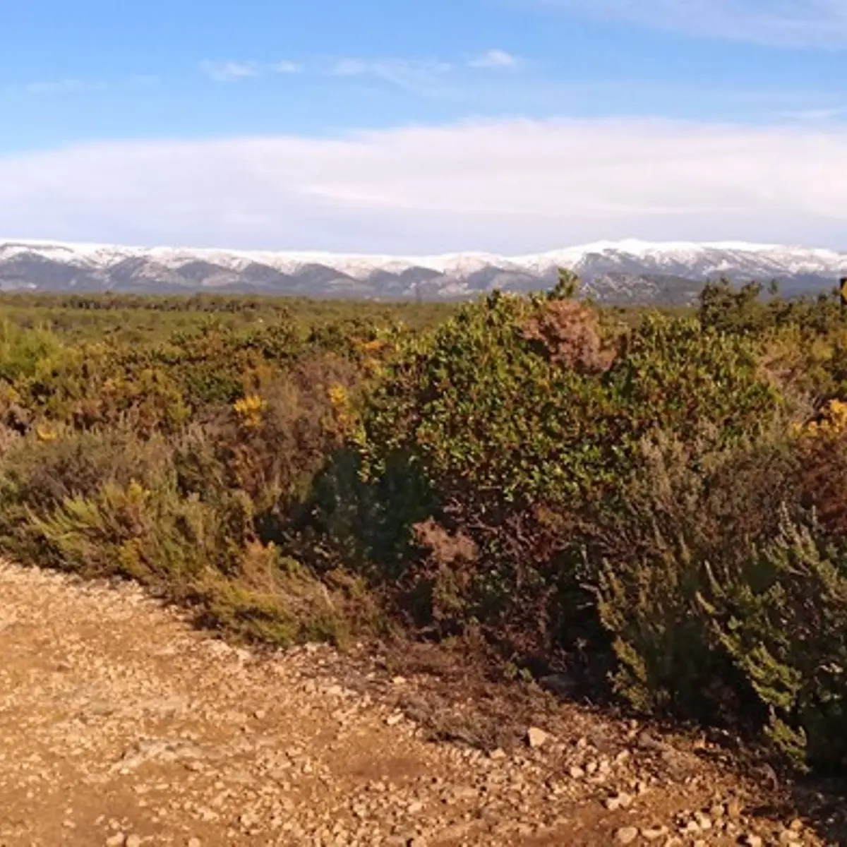 Carrefour de sentiers, avec la Sainte-Baume au fond