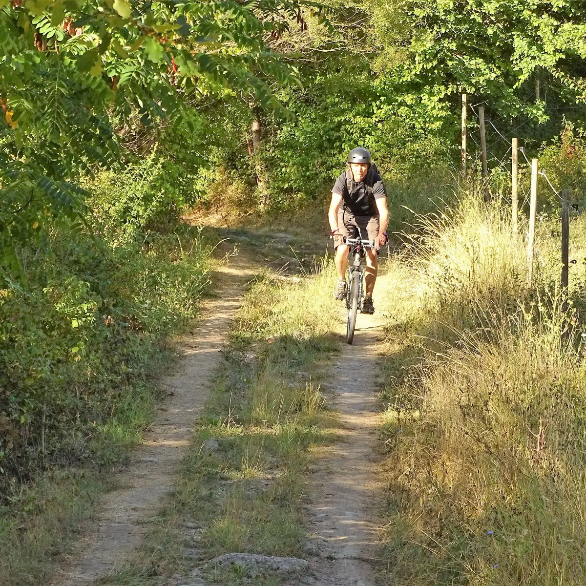 Belle piste ombragée
