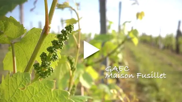 maison fusillet à belley