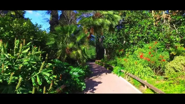 visite du parc olbius riquier