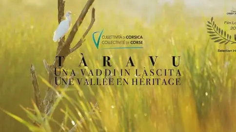 La rivière sauvage du Taravo