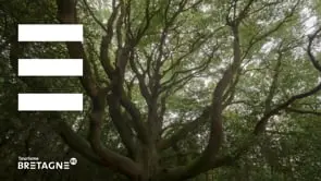 Economie circulaire et alimentation / restauration