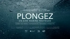 Dive in a marine protected area
