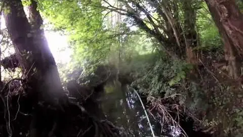 Truites pêche Loir et Cher