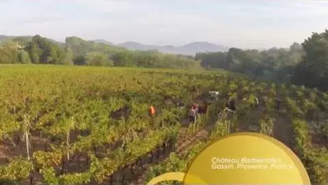 vendanges 2014 au chateau barbeyrolles. images d'un drône via une gopro black+