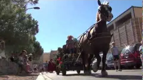 fête des vendanges à leucate !