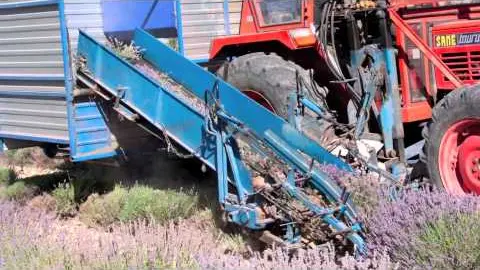 Titre de la vidéo manquant