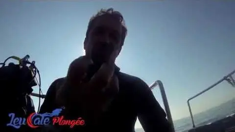 leucate plongée