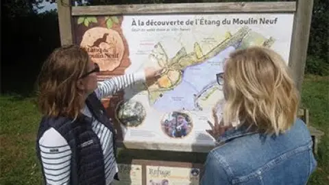 Mag Lannion-Trégor : une plongée verte sur la Côte de granit rose