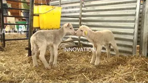 Présentation de La Routo