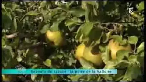 La poire de la Valloire - jeudi 26 septembre 2013