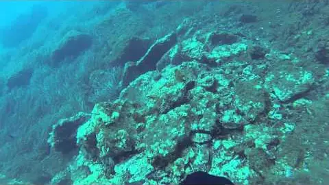 une plongée à la piscine des mèdes