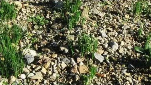 présentation trésors de nos montagnes