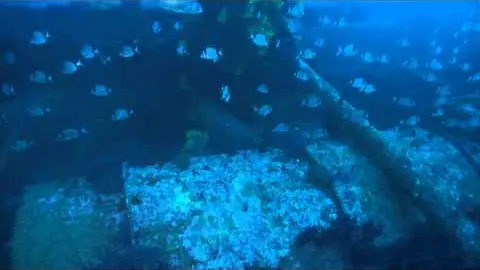 baptême de plongée