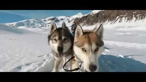 alpi traineau orcières merlette