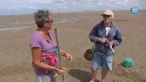 APP2R - La pêche à la palourde