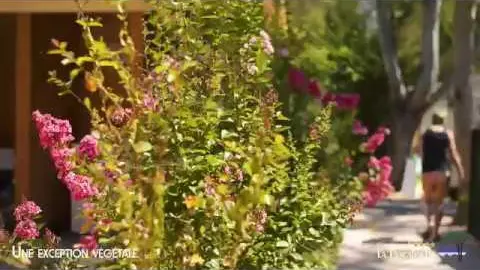 camping de la pascalinette