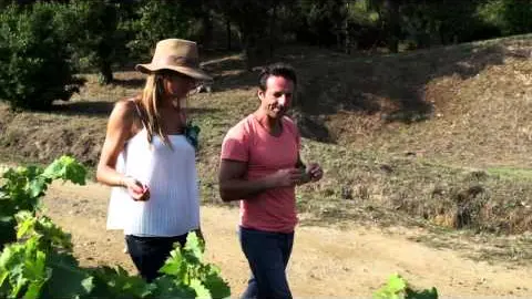 la route des vins 2012 : domaine tropez