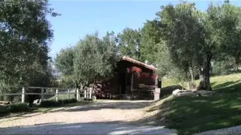 village de gîtes l'oliveraie entre gard et ardèche