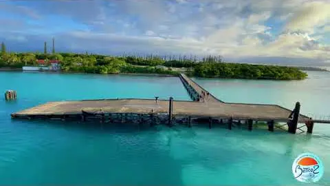 動画のタイトルが表示されない