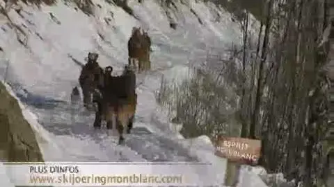ski joering et chiens de traineaux aux houches
