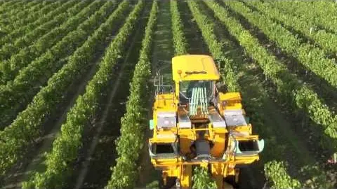 Titre de la vidéo manquant