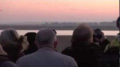 Fête de la Grue