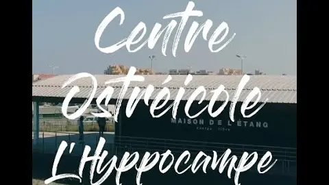📍L'hippocampe - Cabane à Huitre 🦪