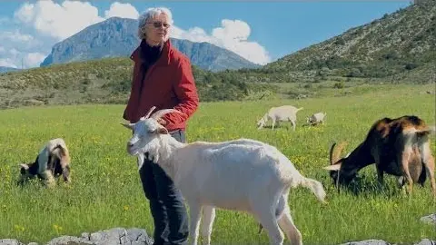 la commanderie de saint-maymes