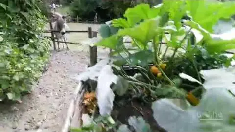 A la découverte de la vallée troglodytique des Goupillières