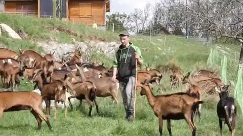 la chèvrerie ferme du bayle