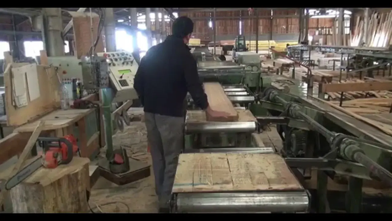 Forêt et savoir-faire en Chartreuse : le scieur