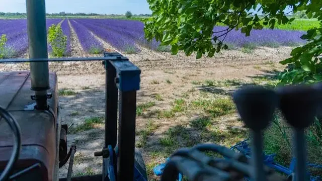 un mas en  provence